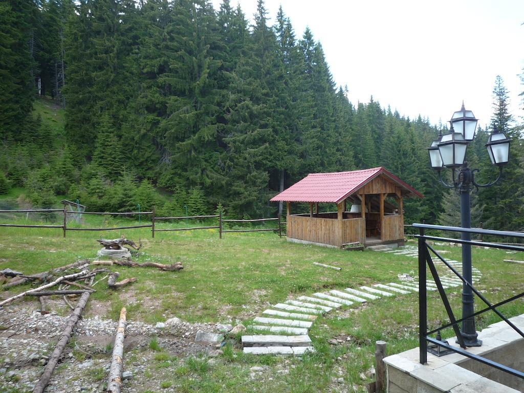 Ski Apartment In Castle Complex Pamporovo Habitación foto